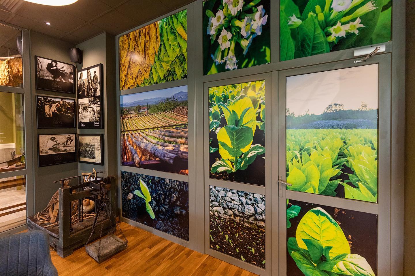 TABAK Museum & Restaurant